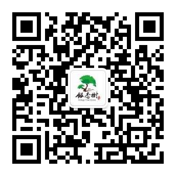 南京银杏树养老